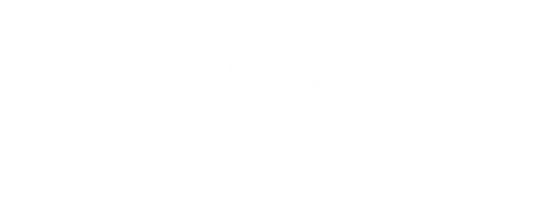 Бонус logo