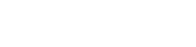 Romance Is a Bonus Book logo