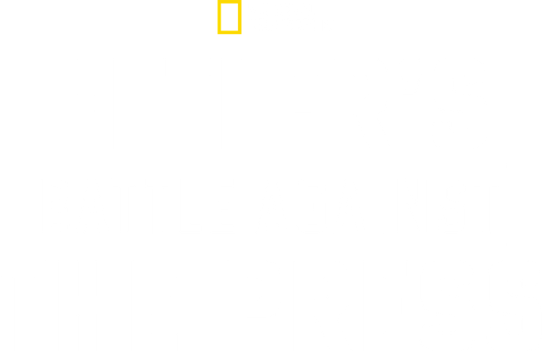Hitler's Battle Against the Press
