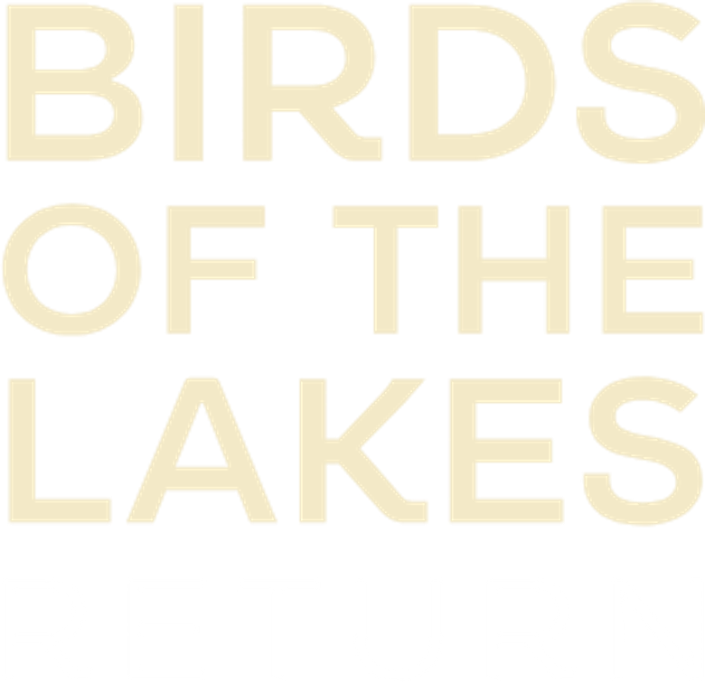 Birds of the Lakes Return