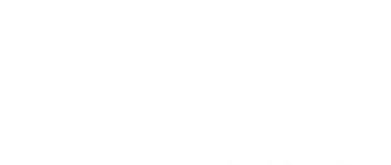 Andor logo