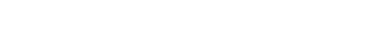 Citadel logo