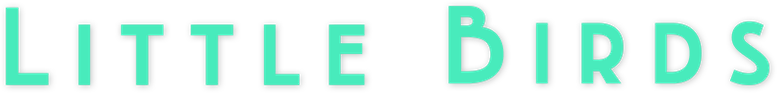 Little Birds logo