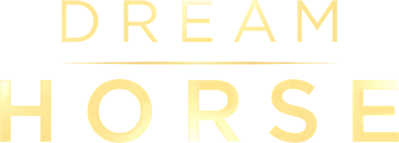 O Cavalo dos Meus Sonhos logo