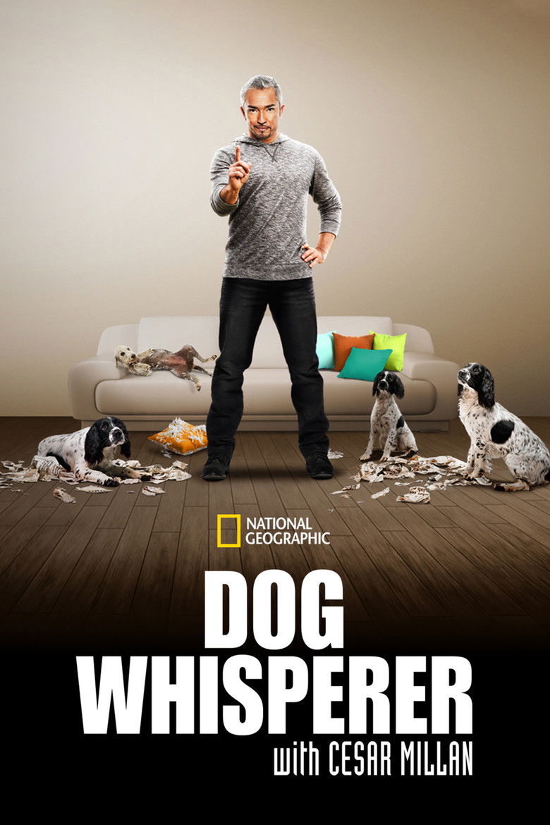 Dog Whisperer (2004) — affiche série