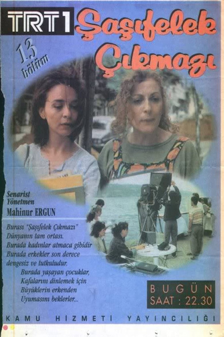 Şaşıfelek Çıkmazı (1996) — affiche série