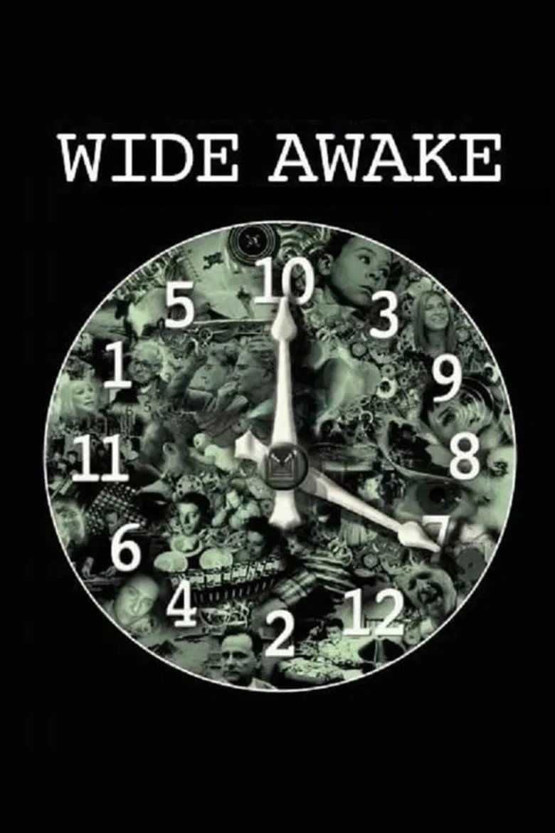 Wide Awake (2006) — affiche film
