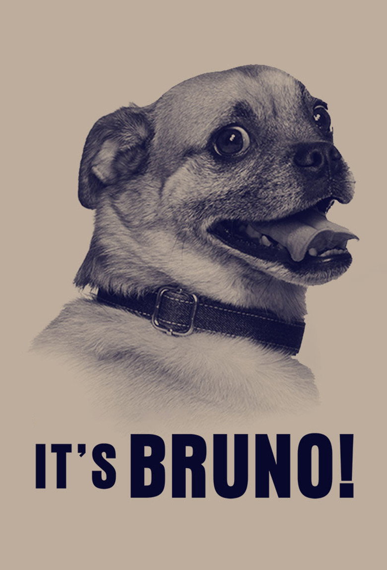 It's Bruno! (2019) — affiche série et bande-annonce