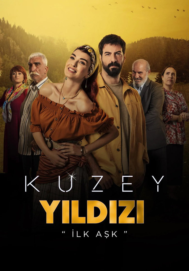 Kuzey Yıldızı: İlk Aşk (2019) — affiche série