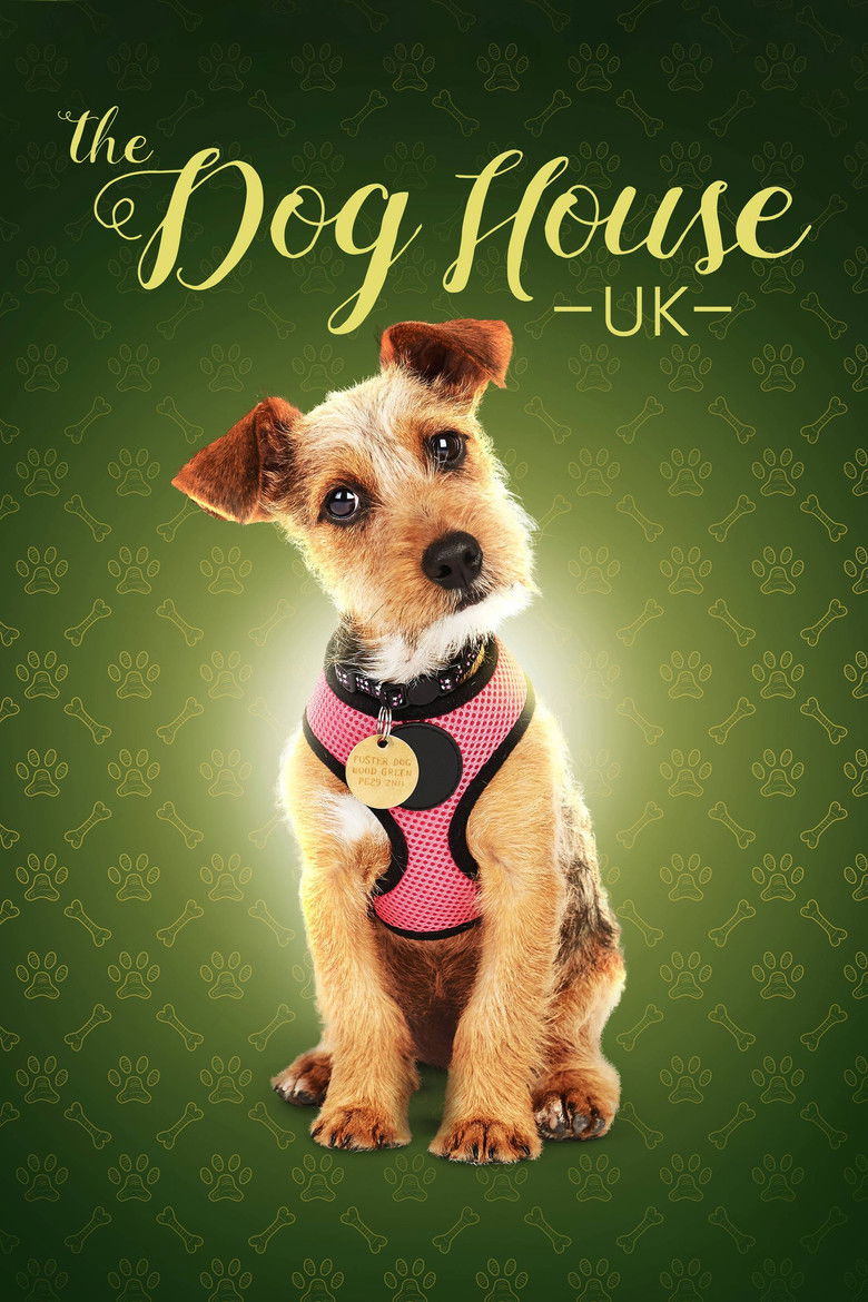 The Dog House (2019) — affiche série et bande-annonce