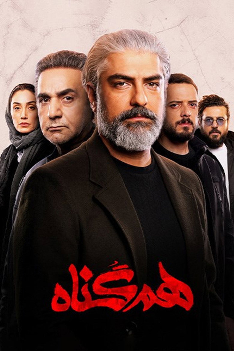 The Accomplice (2020) — affiche série