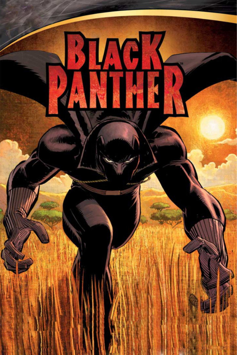 Black Panther (2010) — affiche film
