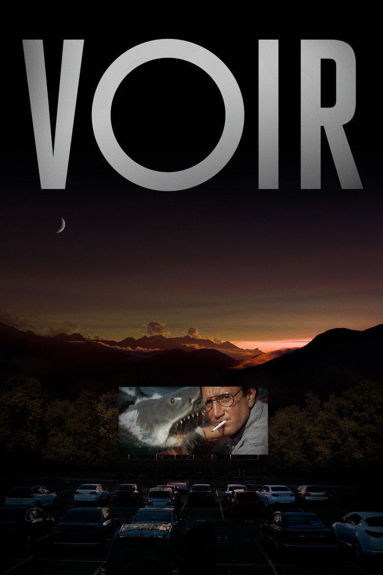 Voir (2021) — affiche série et bande-annonce
