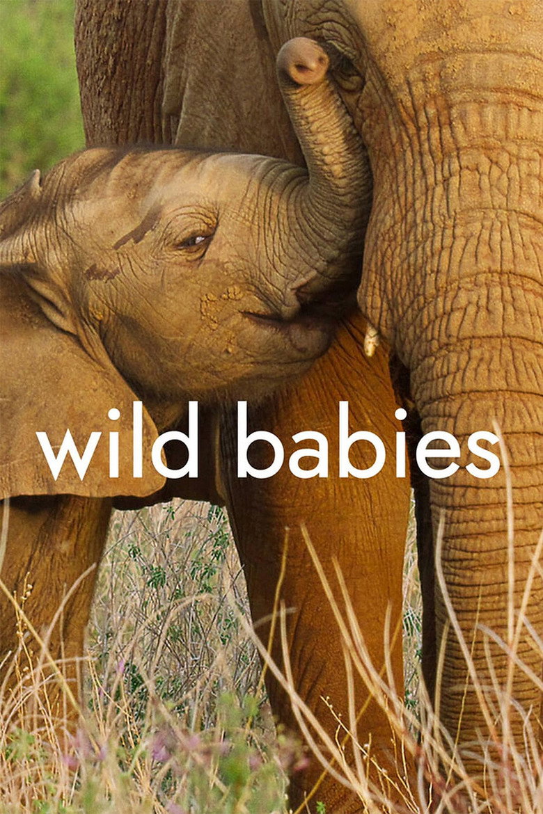 Wild Babies (2022) — affiche série et bande-annonce