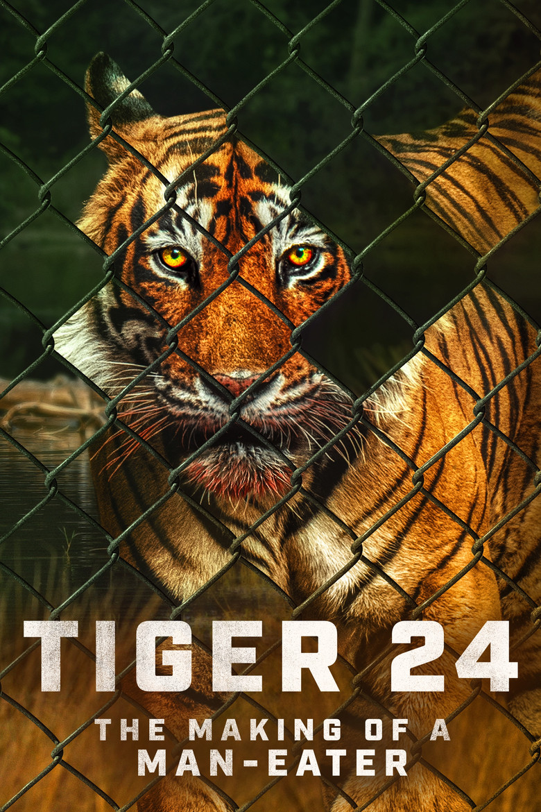 Tiger 24 (2022) — affiche film et bande-annonce