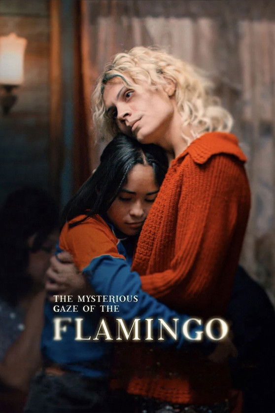 The Mysterious Gaze of the Flamingo (2025) — affiche film et bande-annonce