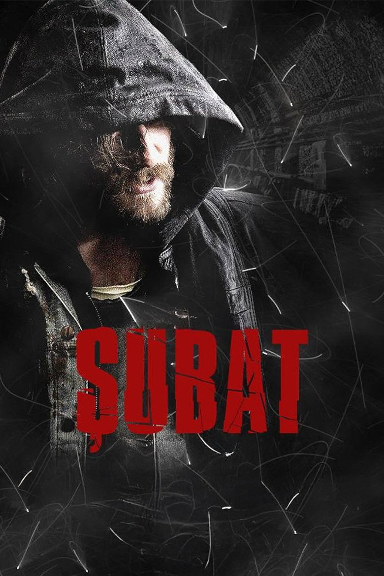 Şubat (2012) — affiche série