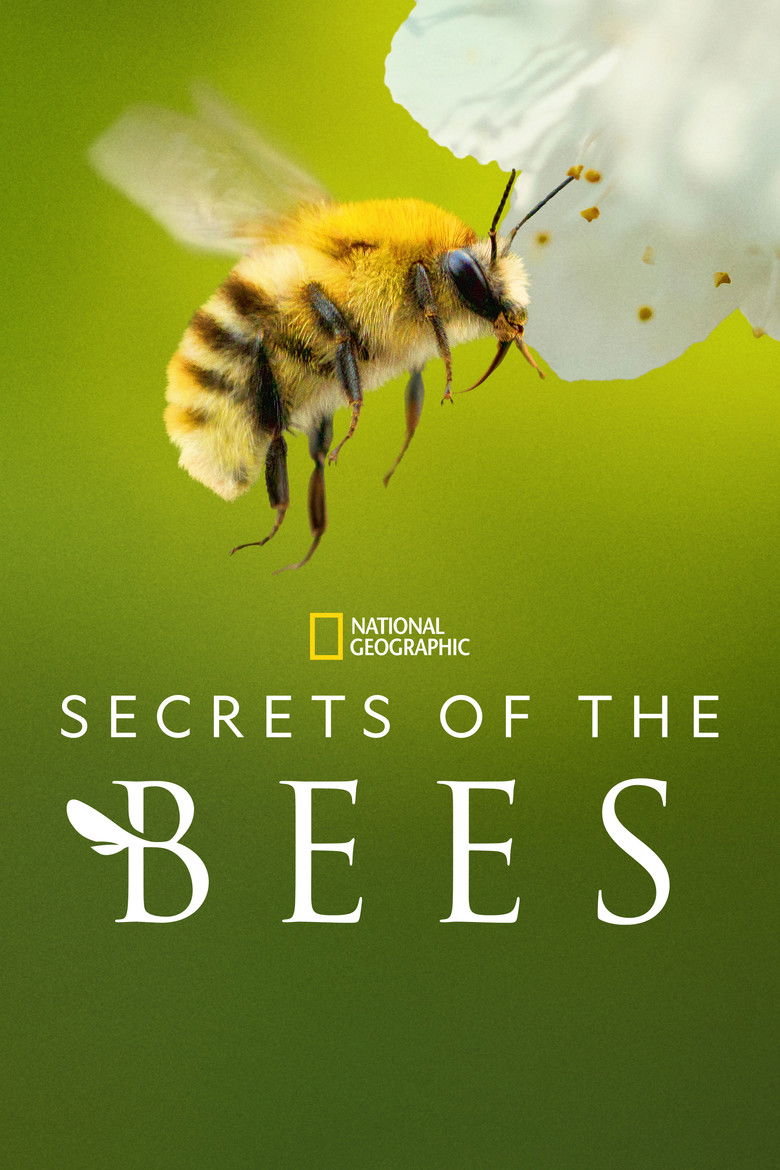 Secrets of the Bees (2026) — affiche série et bande-annonce