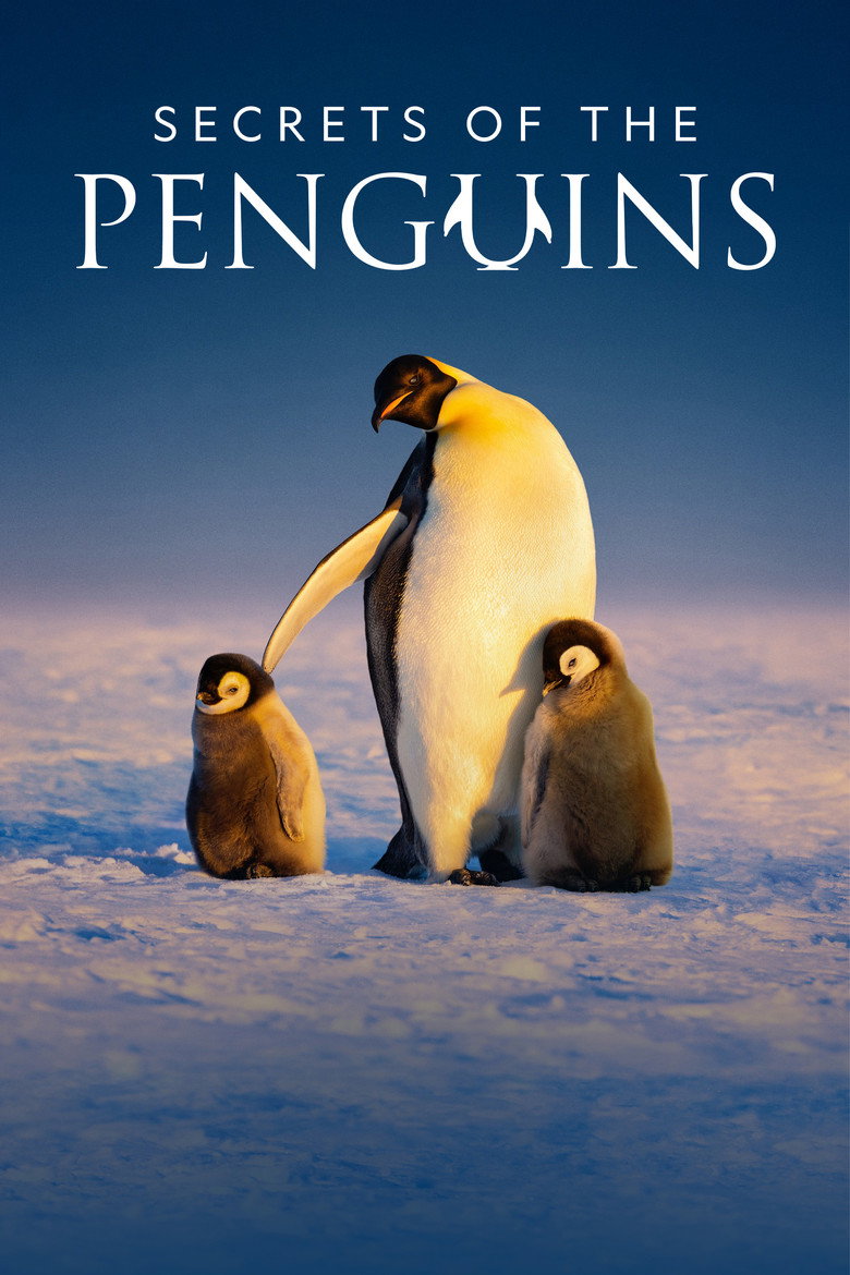 Secrets of the Penguins (2025) — affiche série et bande-annonce