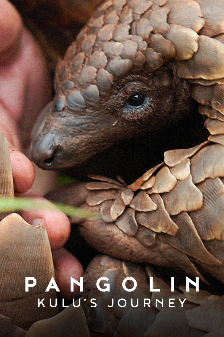 Pangolin: Kulu's Journey (2025) — affiche film et bande-annonce