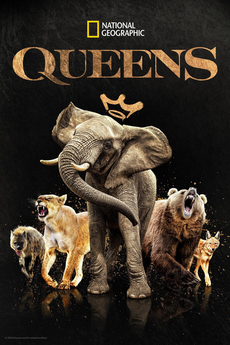 Queens (2024) — affiche série et bande-annonce