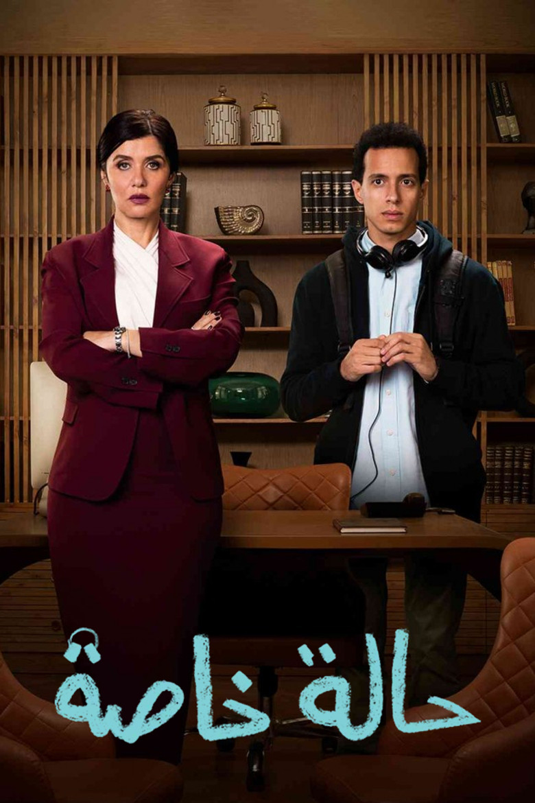 Special Case (2024) — affiche série