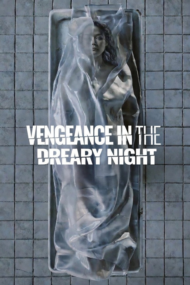 Vengeance in the Dreary Night (2025) — affiche film et bande-annonce