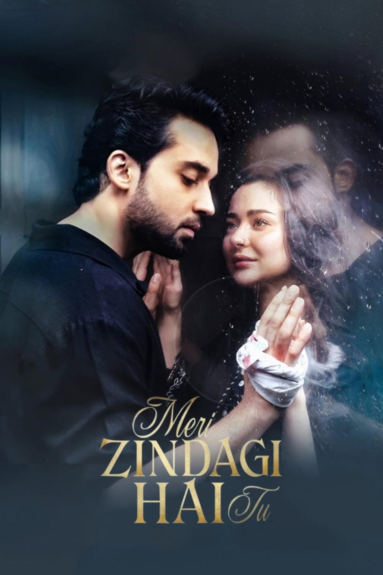 Meri Zindagi Hai Tu (2025) — affiche série et bande-annonce