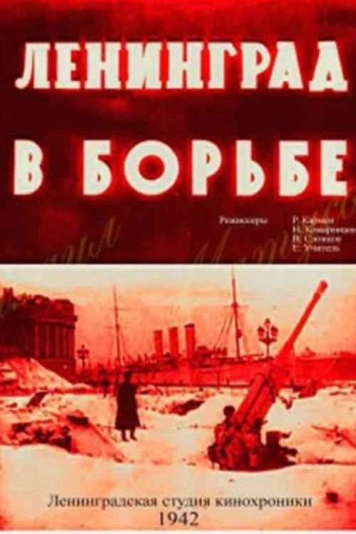 Leningrad in Combat