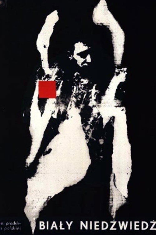 The White Bear