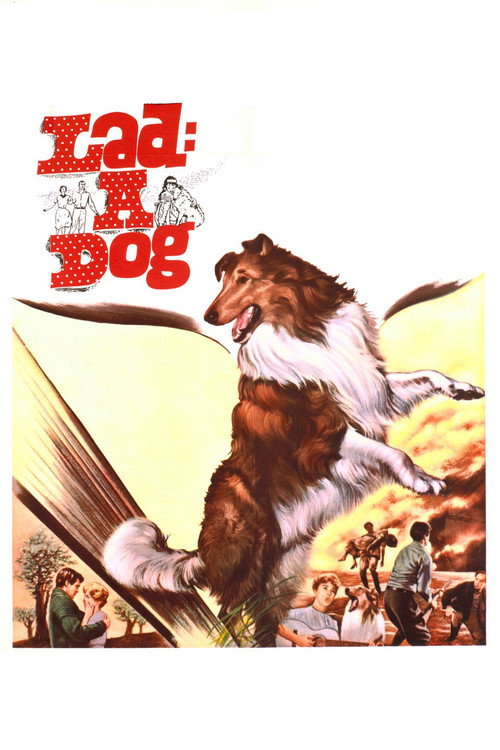 Lad, A Dog
