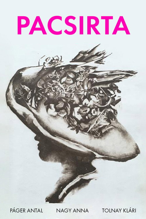 Drama of the Lark