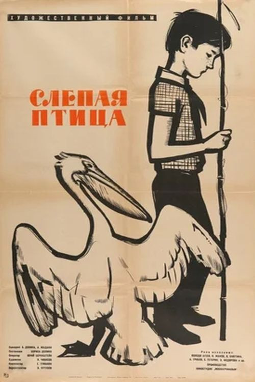 The Blind Bird