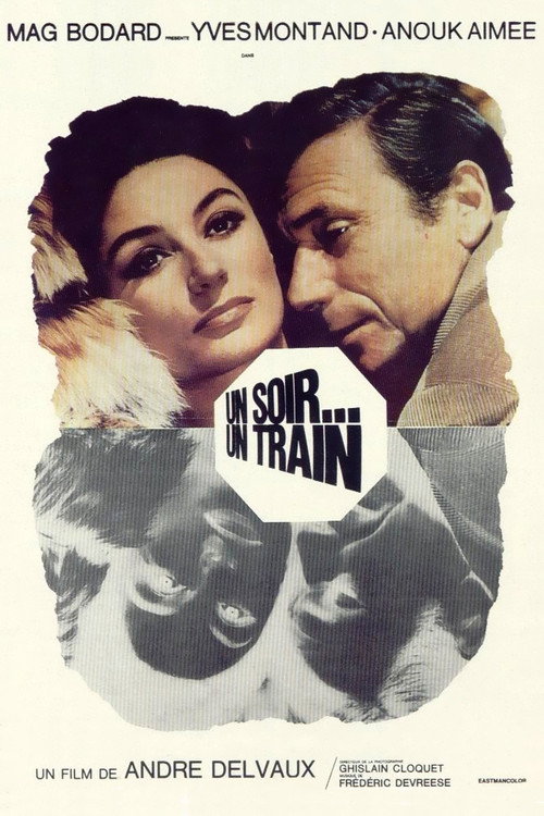One Night... A Train