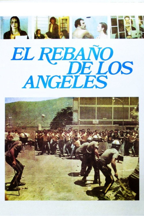 El rebaño de los ángeles