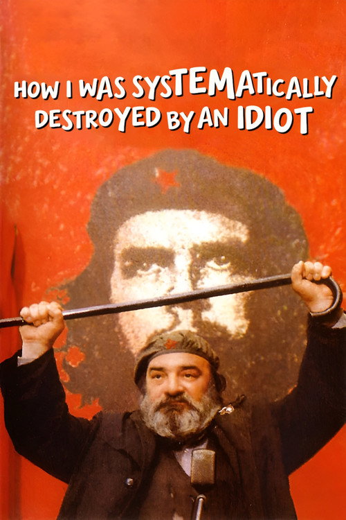How I Was Systematically Destroyed by an Idiot