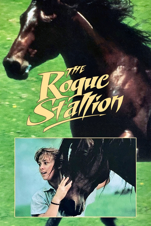 Rogue Stallion