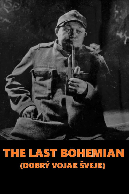 The Good Soldier Schweik