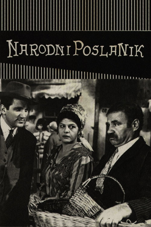 Narodni poslanik
