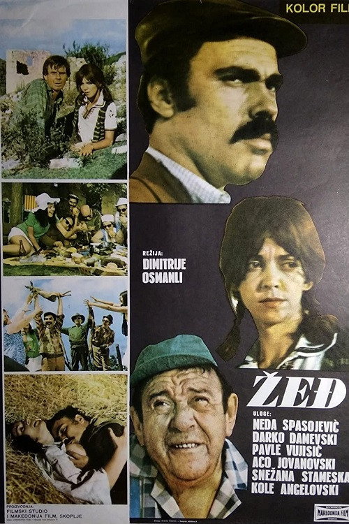 Žed