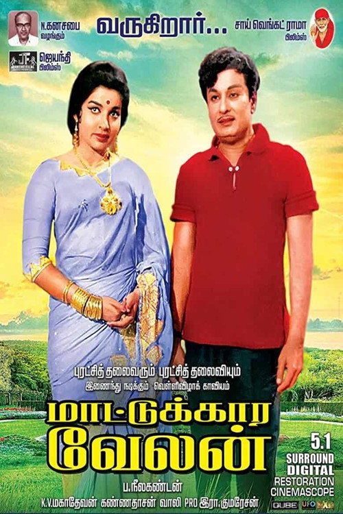 Maattukara Velan