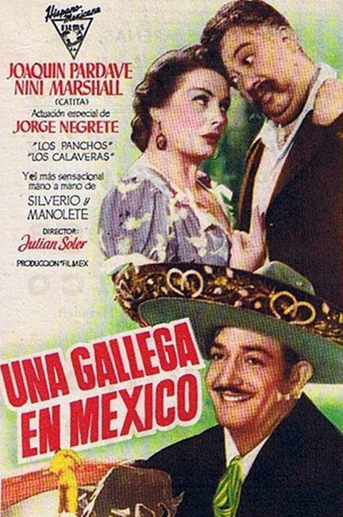 Una Gallega en México
