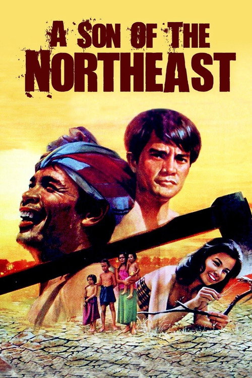 Son of the Northeast