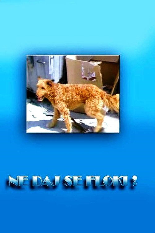 Ne daj se, Floki