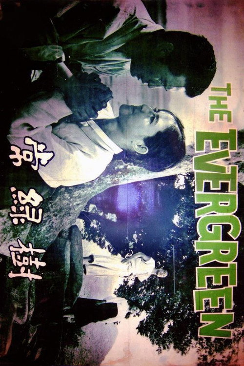 Evergreen Tree
