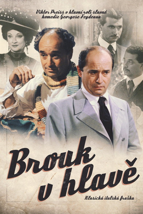 Brouk v hlave