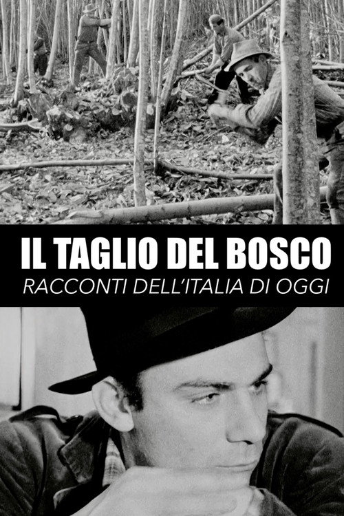 Il taglio del bosco