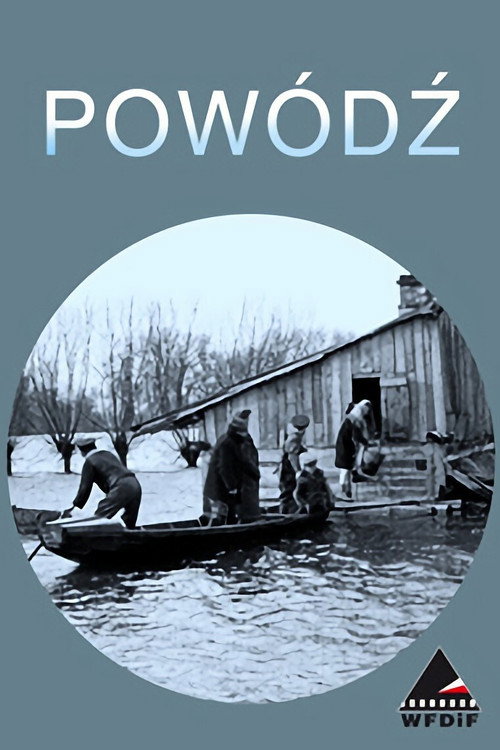 The Flood