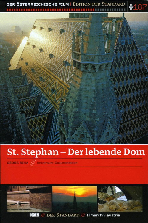 St. Stephen's – The Living Cathedral