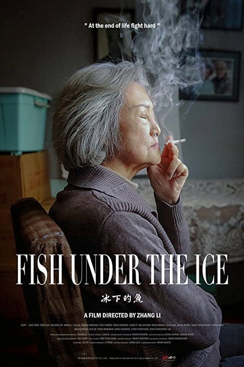 Fish Under The Ice